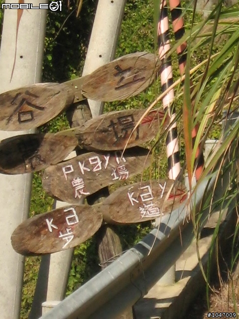 尖石-宇老-秀巒-石磊獨跑去(圖多慎入)