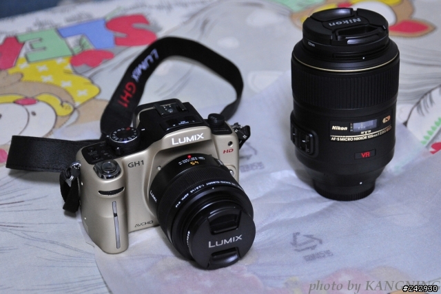 GH1+徠卡45微測試與5d2+百微和D700+105VR比較圖