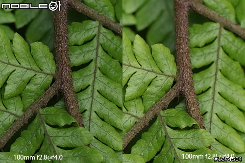 [舊的不去新的不來]EF 100mm f2.8 Macro USM VS EF 100mm f2.8L Macro IS USM