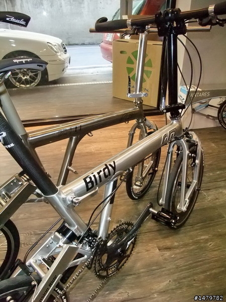 BIRDY終極鳥---逆練易筋經頂關功力(黑級浮屠一間戰紋)