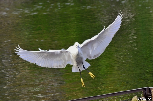 [分享]D300s+300mm F4 神奇啦!傑克...光圈出現F1.4