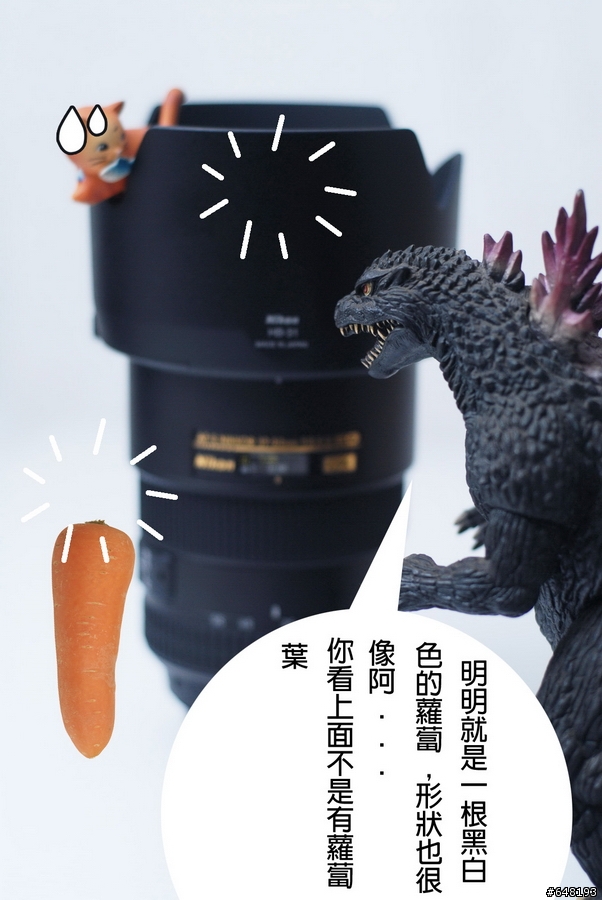 Nikon 17-55mm f2.8 開箱分享