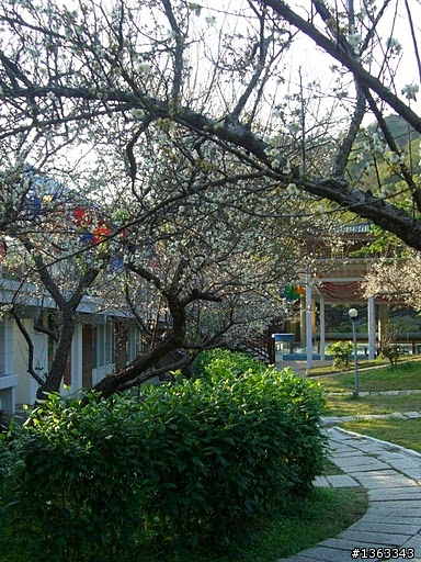 20100113梅林親水岸~~