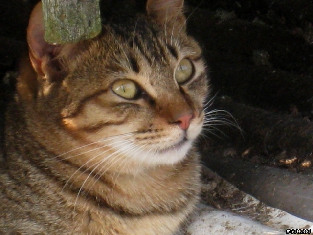 猴硐半日遊.