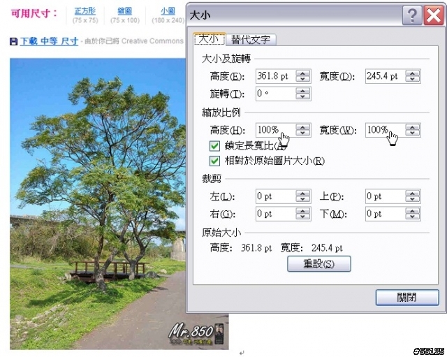 Help~~ Outlook 2007 插入圖片總是不清楚?