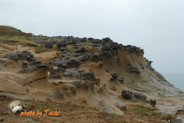 【郊山】 9811瑞芳小晃