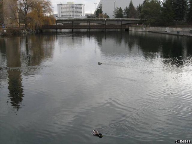 2010美國花式滑冰錦標賽分享