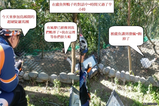 1/17羅馬公路加石門水庫加大溪老街~糜爛遊記~~~真是好玩
