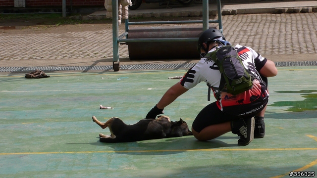 [遊記] 楓紅了 part 4....往北台灣中間走--武道能敢+石磊部落單車賞楓
