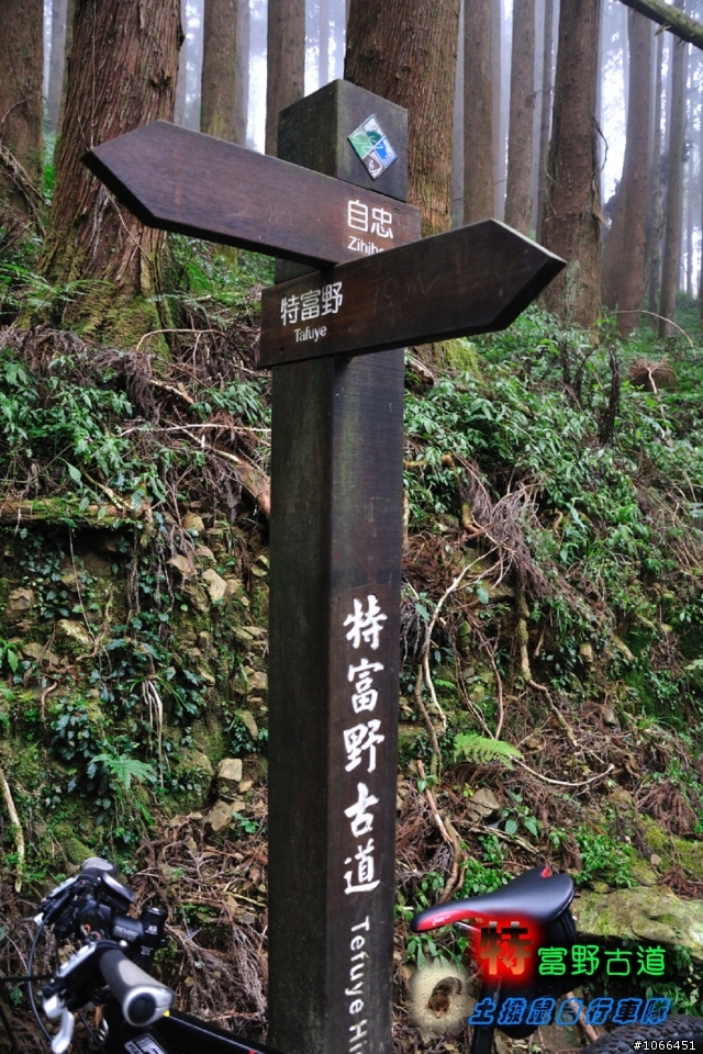 [硬斗]土撥鼠單車-自忠~特富野古道~十字路篇