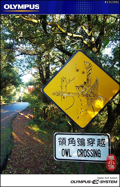 [ 分享 ]  陽明山二仔坪~ 大屯國家公園~ E-P1隨拍~
