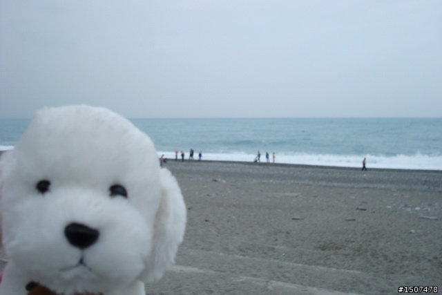 2009 1201-1206 六天五夜沒有做功課的一人環島遊記 (2/4更新Day4)