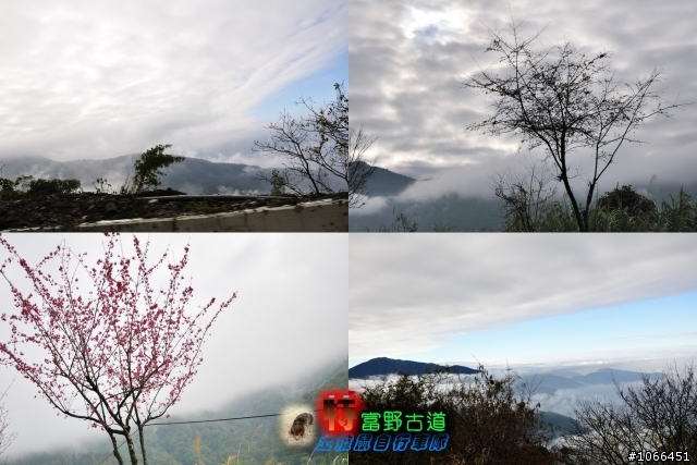 [硬斗]土撥鼠單車-自忠~特富野古道~十字路篇