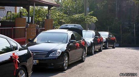 娜娜2.3清一黑幸福車隊