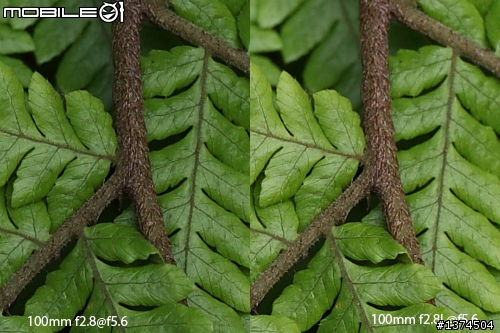 [舊的不去新的不來]EF 100mm f2.8 Macro USM VS EF 100mm f2.8L Macro IS USM