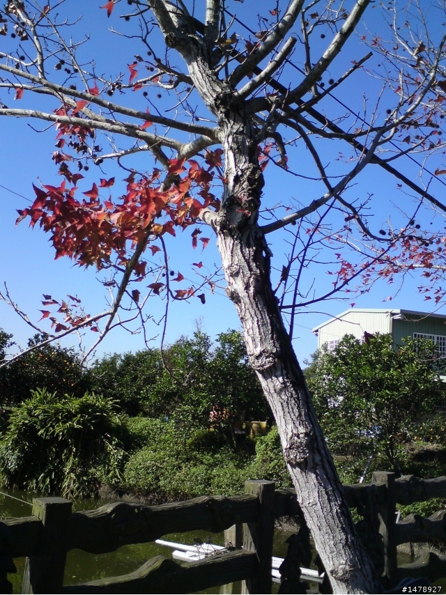 【熱血照片區】