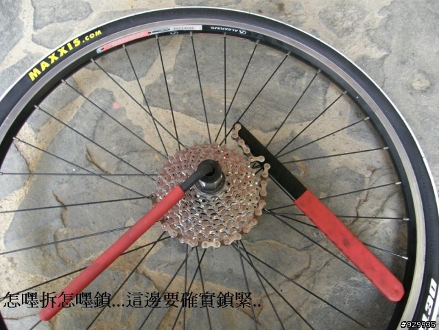 [分享、教學]單車門外漢的第一次保養!!