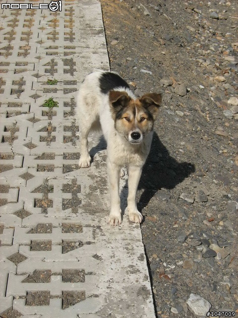 尖石-宇老-秀巒-石磊獨跑去(圖多慎入)
