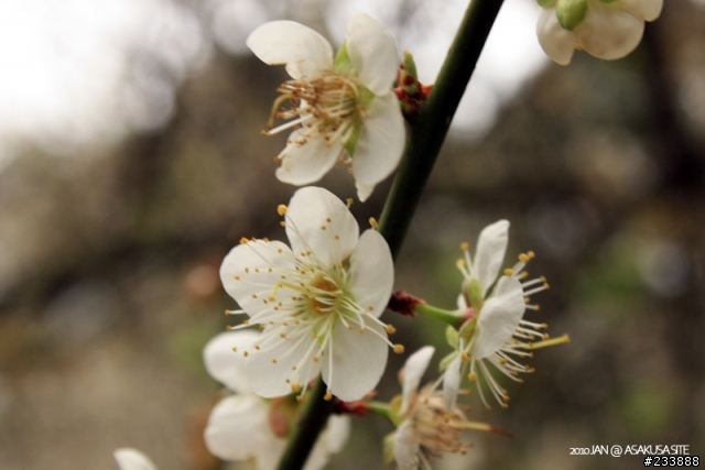 [圖多] 2010 年初。南北縱貫之旅