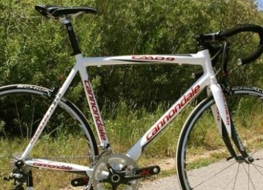 小豬敗家專區.....新年1月專區~CANNONDALE 10年款