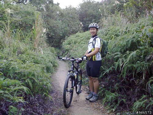 悠閒假日午後，中社歐福洛探幽