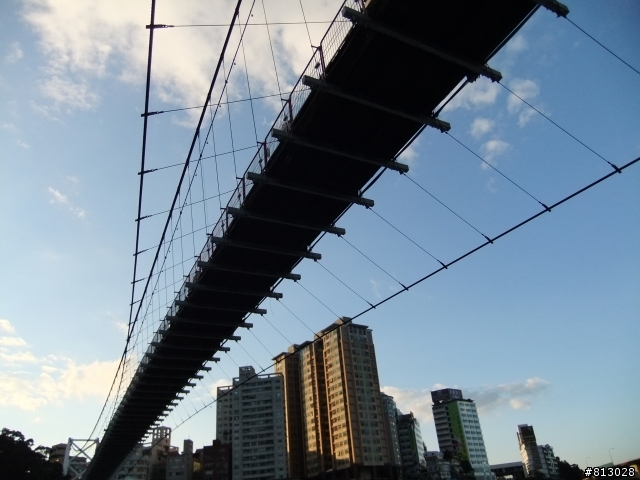 Fujifilm F70專業對焦模式功能問題?如何能拍出有質感的淺景深效果?
