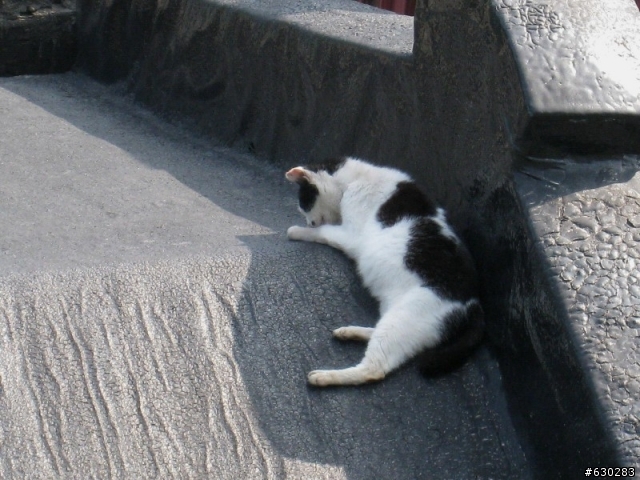 猴硐半日遊.