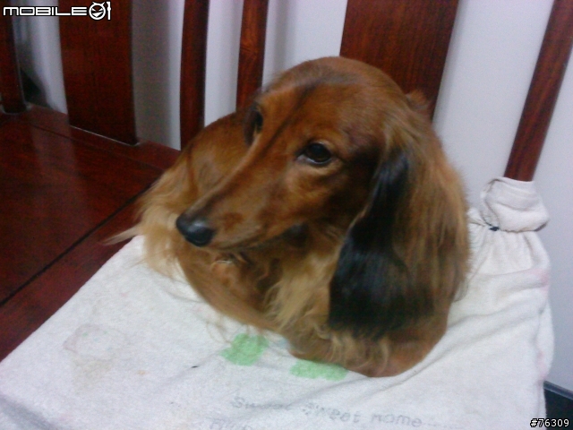 辛酸的開箱文 ... Sony Ericsson T715