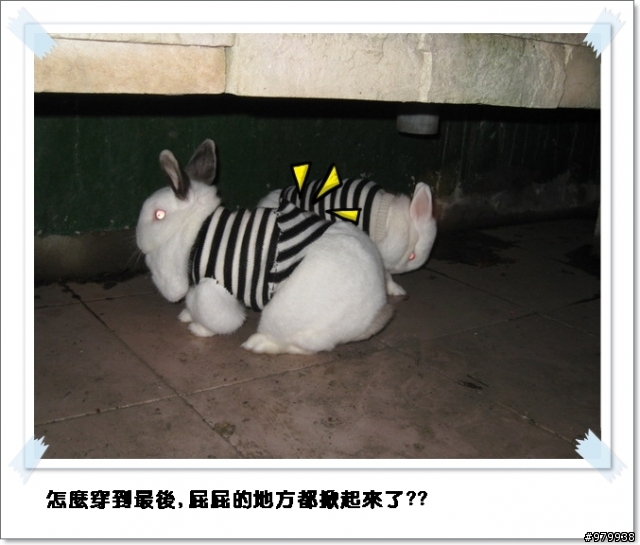 手殘的阿母做衣服