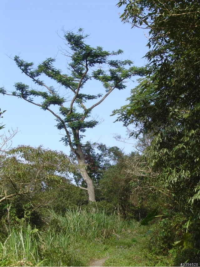 士文環線順登北湖呂山