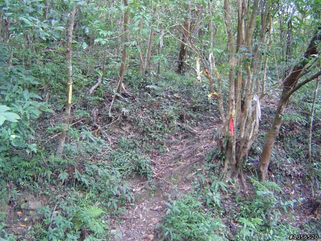 士文環線順登北湖呂山