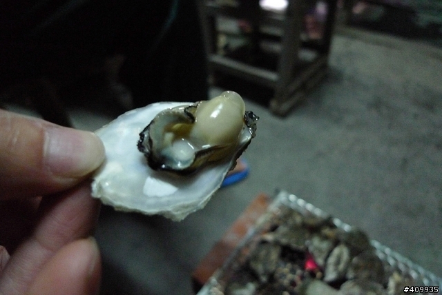 彰化縣芳苑鄉王功村 漁村生活遊記(圖多)