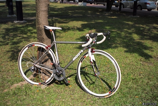 美國種馬~moots~