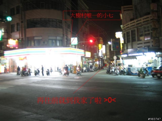 【分享】大樹繞一圈