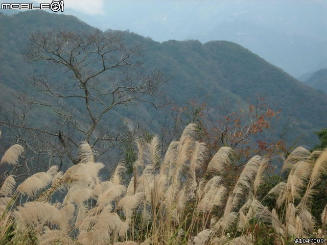尖石-宇老-秀巒-石磊獨跑去(圖多慎入)
