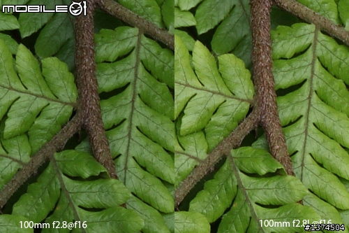 [舊的不去新的不來]EF 100mm f2.8 Macro USM VS EF 100mm f2.8L Macro IS USM