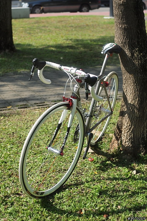 美國種馬~moots~