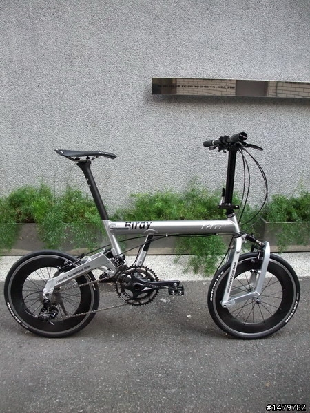 BIRDY終極鳥---逆練易筋經頂關功力(黑級浮屠一間戰紋)