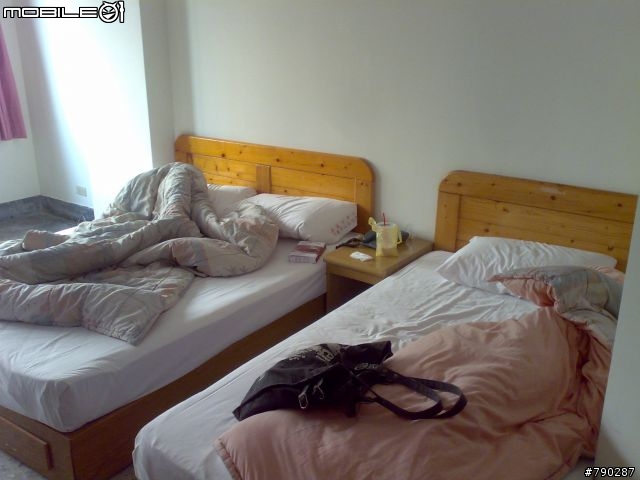 2010阿里山第一道曙光遊記