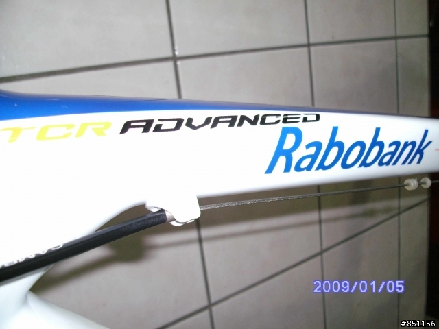 2010年 TCR ADV Rabobank 車隊版