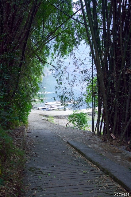 孤鳥單飛游～陽朔灕江．2010