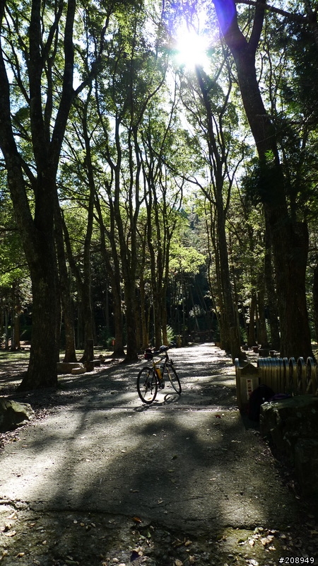 2010年   新春第一泡