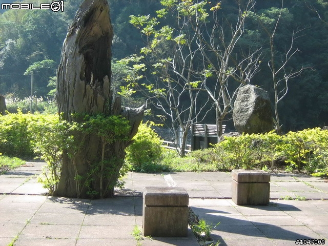 尖石-宇老-秀巒-石磊獨跑去(圖多慎入)