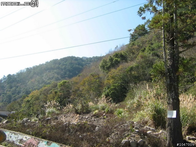 尖石-宇老-秀巒-石磊獨跑去(圖多慎入)