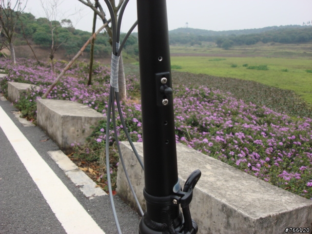 (分享) 自組 Dahon Hsl