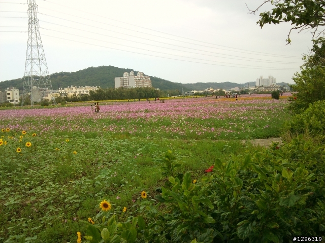 2010.01.01大甲鎮瀾宮&鐵砧山