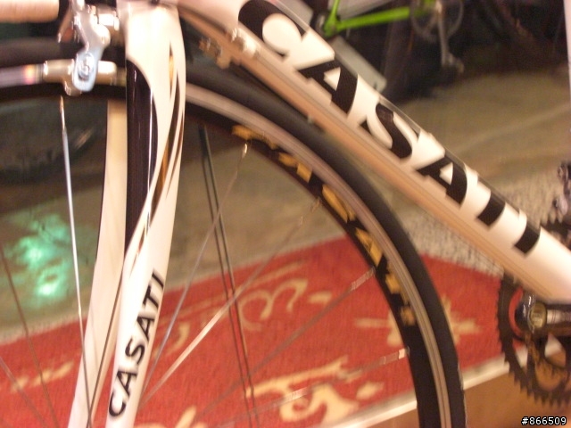 2010 NEW CASATI 53X11