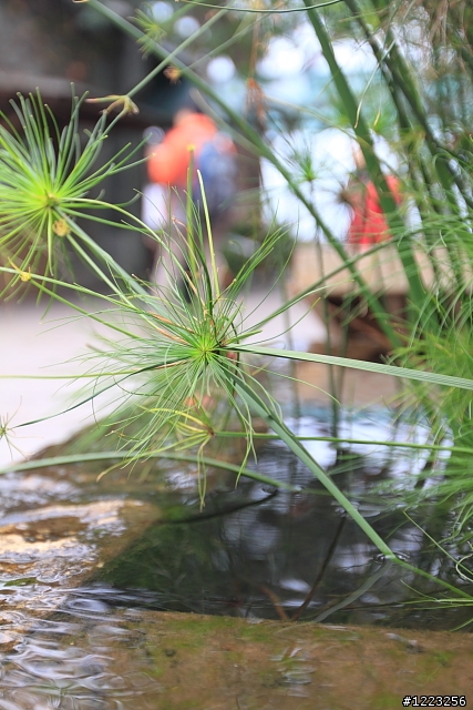 【分享】Canon 16-35mm F2.8II 亂亂拍~