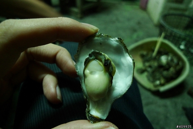 彰化縣芳苑鄉王功村 漁村生活遊記(圖多)