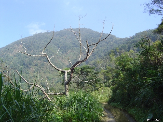 士文環線順登北湖呂山
